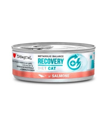 DISUGUAL CAT RECOVERY SALMON 85GR