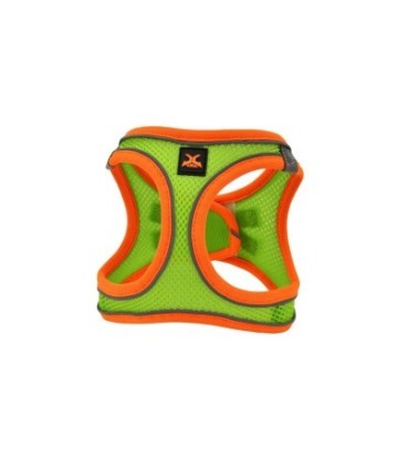 X-TR ARNES NEO VERDE T-XXXS 26-30CM