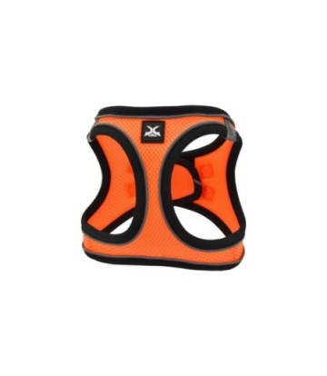 X-TRM ARNES NEO NARANJA T-XXXS 26-30CM