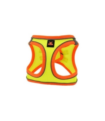 X-TRM ARNES NEO AMARILLO T-XS 35-40CM