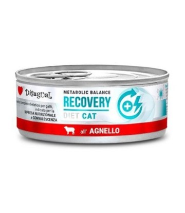 DISUGUAL CAT RECOVERY CORDERO 85GR