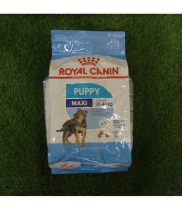 SHN MAXI PUPPY 4KG