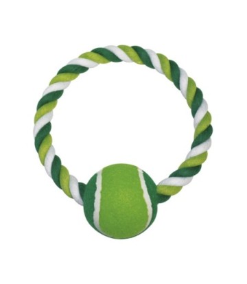 ARO DENTAL MENTA CON PELOTA 18CM