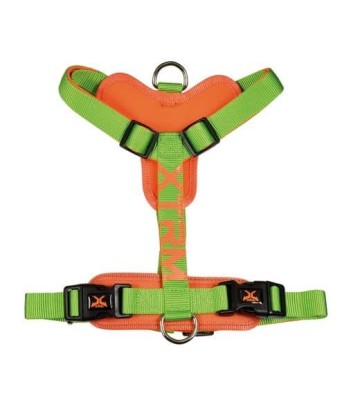 X-TRM ARNES FLASH VERDE 46-75CM X 20MM