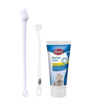 SET HIGIENE DENTAL GATOS