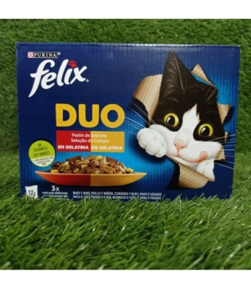 FELIX FANTASTIC DUO DELICIOUS CARNE 12X85GR