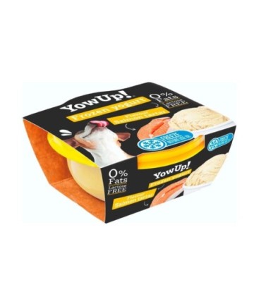 YOWUP HELADO YOGURT TARTAR SALMÓN 110GR