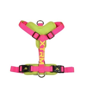 X-TRM ARNES NEON FLASH FUCSIA 60-100CM X 25MM