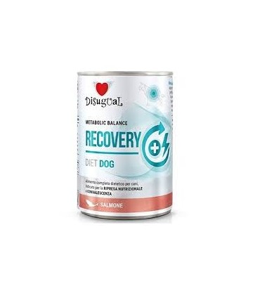 DISUGUAL DOG RECOVERY SALMON 400GR