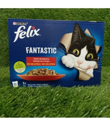 FELIX FANTASTIC FESTIN DE CARNES 12X85GR