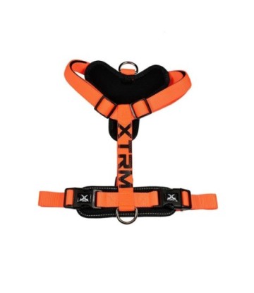 X-TRM ARNES NEON FLASH NARANJA 60-100CM X 25MM