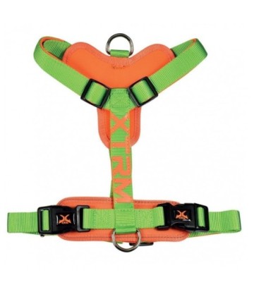 X-TRM ARNES FLASH VERDE 35-60CM X 15MM