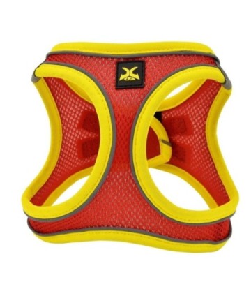 X-TRM ARNES NEO ROJO T-XXXS 26-30CM