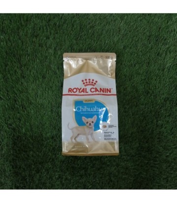 BHN CHIHUAHUA PUPPY 500GR