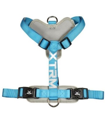 X-TRM ARNES FLASH AZUL 46-75CM X 20MM