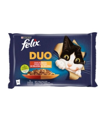 FELIX FANTASTIC DUO DELICIOUS CARNE 4X85GR