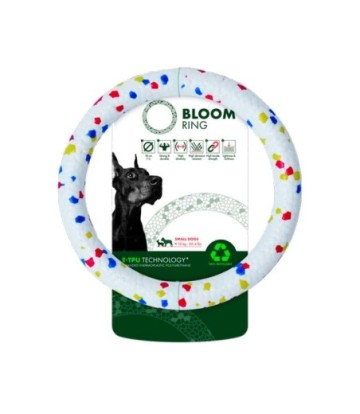 BLOOM ARO MIXED