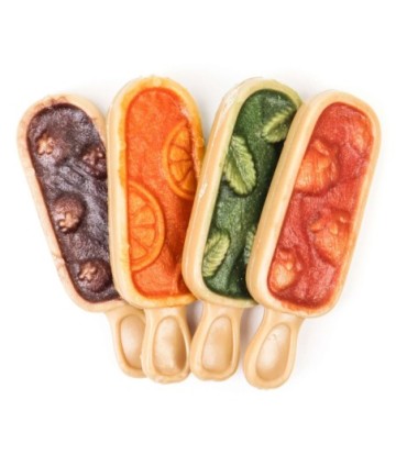 NUTRADOG PALETA HELADO POLLO CON FRUTA