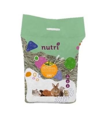 NUTRIPLUS HENO DIENTE DE LEON 500GR