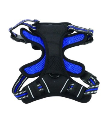ORIGAMI ARNES PERRO AZUL T-M