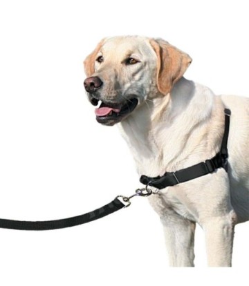 EASY WALK ARNES GRANDE NEGRO