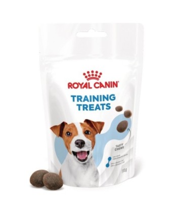 CHEWS TRAINING TREATS 110GR