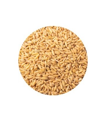 PET CUP AVENA PELADA 850GR