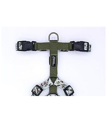 ORIGAMI ARNES PERRO VERDE T-L