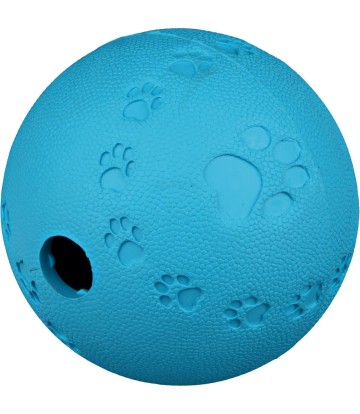 PELOTA DOG ACTIVITY...