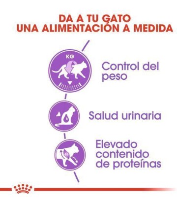 FHN STERILISED 37 10KG