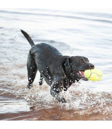 KONG AIRKONG DUMBBELL...