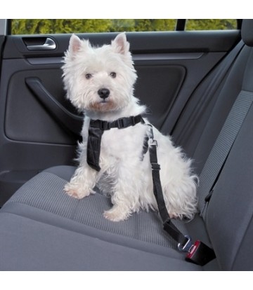 ARNES CINTURON SEGURIDAD...