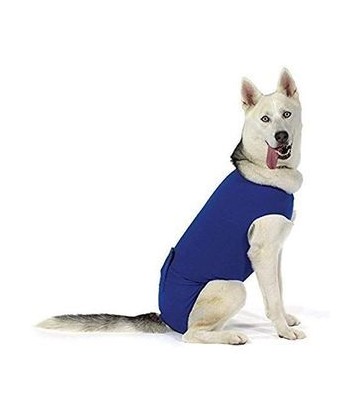 KVP RECOVA SHIRT XL 53-61CM