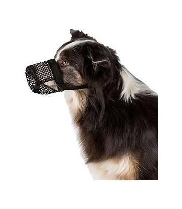 PROTECTOR CONTRA INGESTAS...