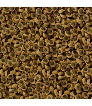 SERA REPTIL PROFESSIONAL...