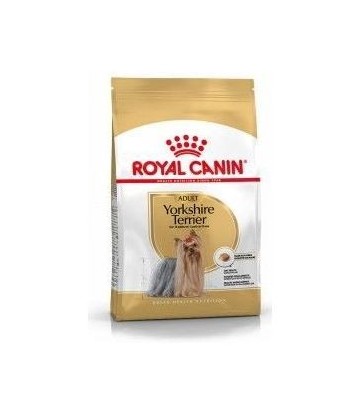 BHN YORKSHIRE TERRIER ADULT...
