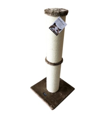 SINALOA CAT SCRATCHING MARRON