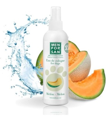 MEN FOR SAN COLONIA MELON 125ML