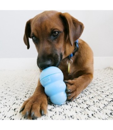 KONG PUPPY T-S