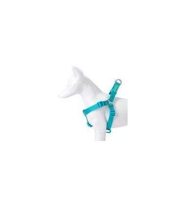 X-TRM CRONOS NEON FLASH COBALTO 35-60CM/15MM