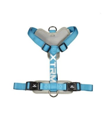 X-TRM ARNES FLASH AZUL 60-100CM X 25MM