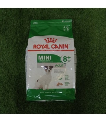 SNH MINI ADULT +8 4KG