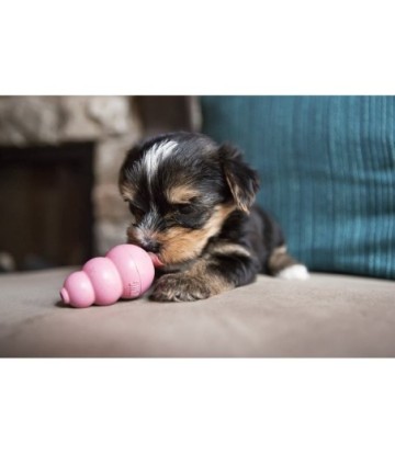 KONG CACHORRO T-M