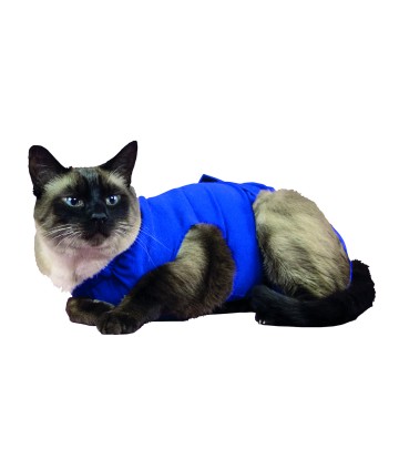 KVP RECOVA SHIRT T-L 45-53CM