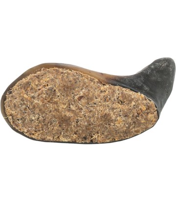 CUERNO BUFALO 10-14CM