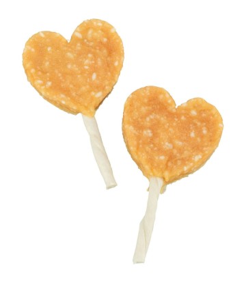 LOLLI POLLO Y ARROZ 35GR/10CM