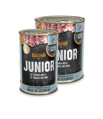 BELCANDO JUNIOR AVE CON...