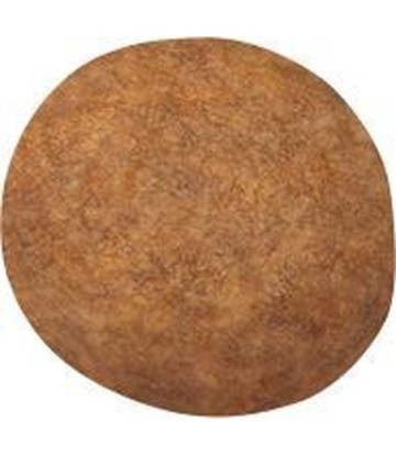 SHN MAXI PUPPY 15KG