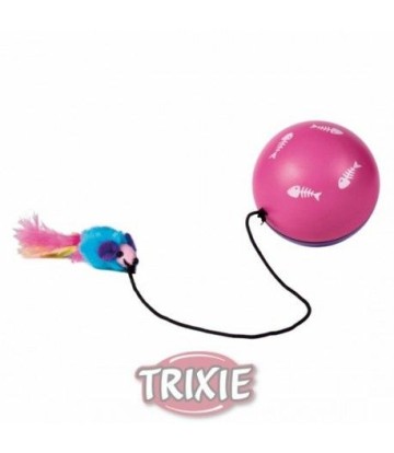 PELOTA MOTOR Y RATON