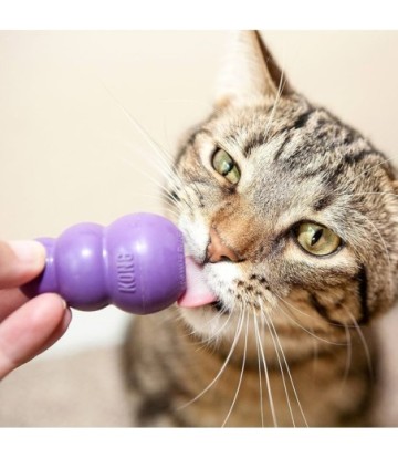 KONG GATOS KITTY KONG